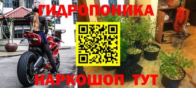 альфа пвп Владивосток